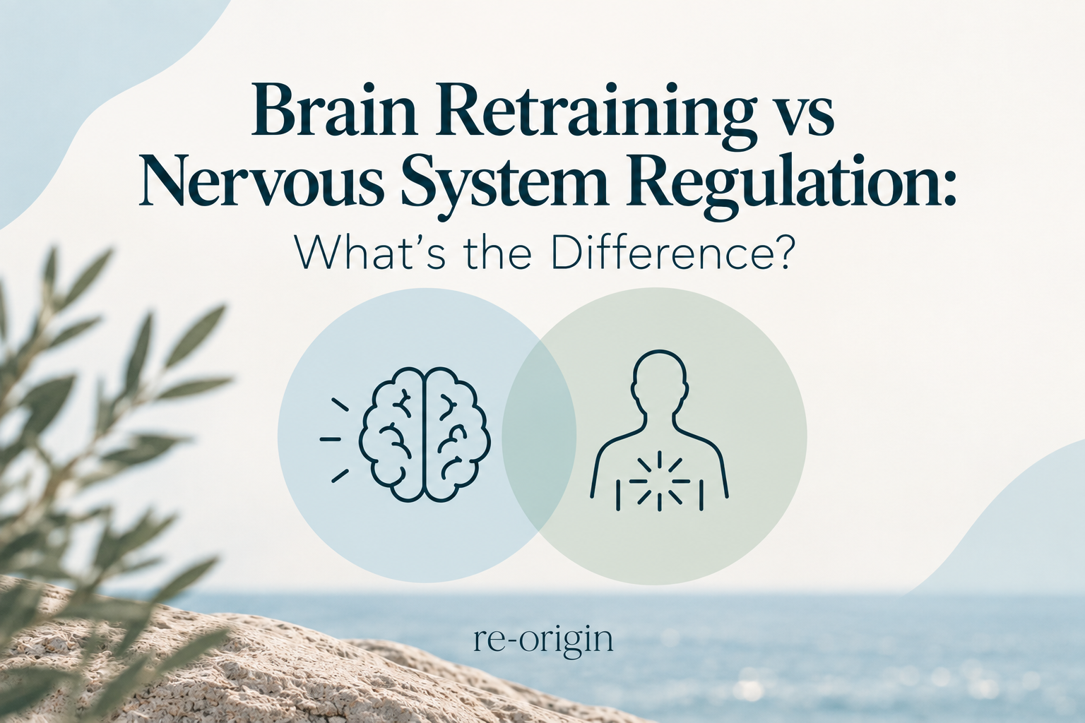 Brain retraining vs nervous system regulation