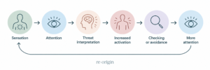 Brain Retraining vs Nervous System Regulation: What's the Difference? 1 Cycle showing sensation, attention, threat interpretation, increased activation, checking or avoidance, and more attention