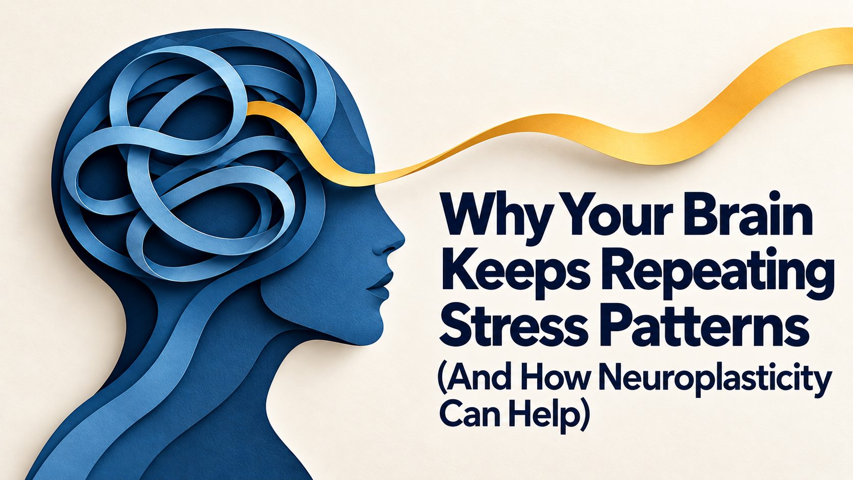 Neuroplasticity and stress patterns